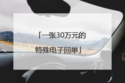 一张30万元的特殊电子回单