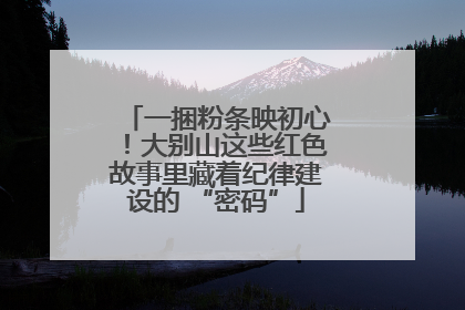 一捆粉条映初心！大别山这些红色故事里藏着纪律建设的 “密码”