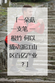 一朵菇 一支笔 一根竹 何以撬动浙江山区百亿产业？