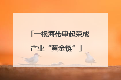 一根海带串起荣成产业“黄金链”