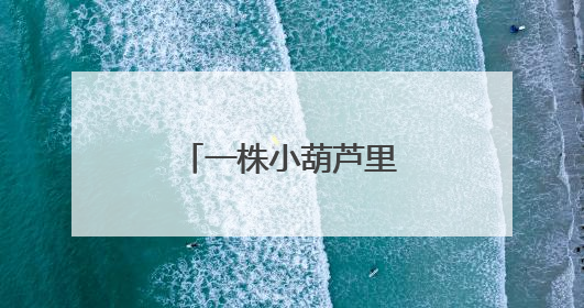 一株小葫芦里的育人智慧