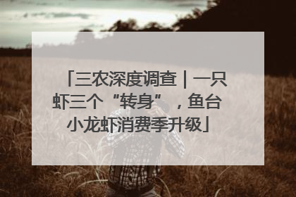 三农深度调查｜一只虾三个“转身”，鱼台小龙虾消费季升级