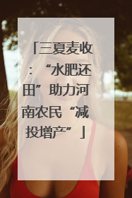 三夏麦收：“水肥还田”助力河南农民“减投增产”