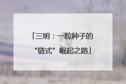 三明：一粒种子的“链式”崛起之路