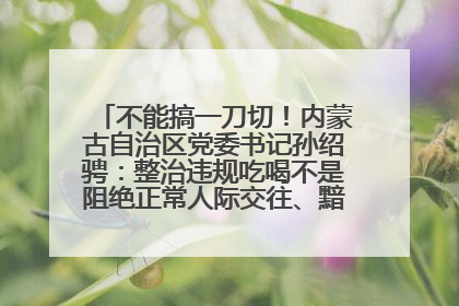 不能搞一刀切！内蒙古自治区党委书记孙绍骋：整治违规吃喝不是阻绝正常人际交往、黯淡人间烟火