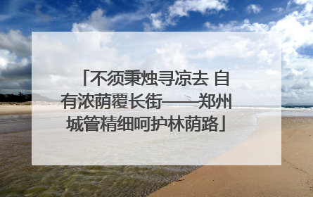不须秉烛寻凉去 自有浓荫覆长街——郑州城管精细呵护林荫路