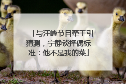 与汪峰节目牵手引猜测，宁静谈择偶标准：他不是我的菜