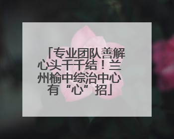专业团队善解心头千千结！兰州榆中综治中心有“心”招
