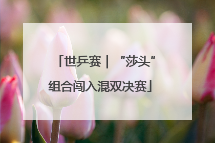 世乒赛｜“莎头”组合闯入混双决赛