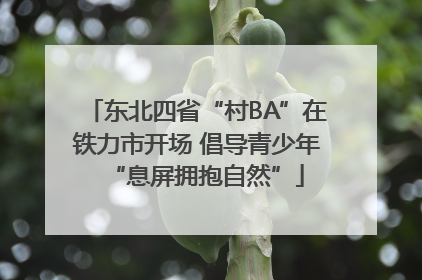 东北四省“村BA”在铁力市开场 倡导青少年“息屏拥抱自然”