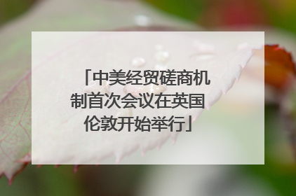 中美经贸磋商机制首次会议在英国伦敦开始举行