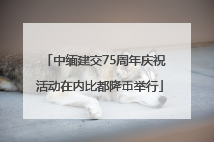 中缅建交75周年庆祝活动在内比都隆重举行