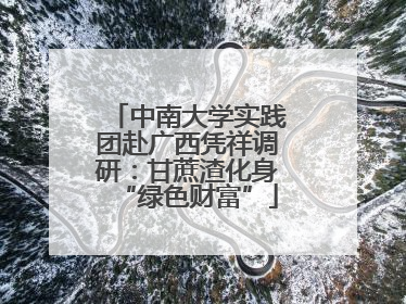 中南大学实践团赴广西凭祥调研：甘蔗渣化身“绿色财富”
