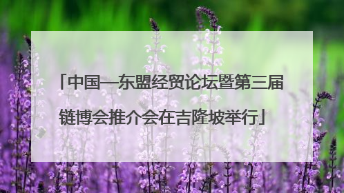 中国—东盟经贸论坛暨第三届链博会推介会在吉隆坡举行