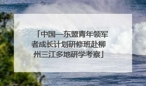 中国—东盟青年领军者成长计划研修班赴柳州三江多地研学考察