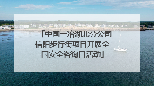 中国一冶湖北分公司信阳步行街项目开展全国安全咨询日活动