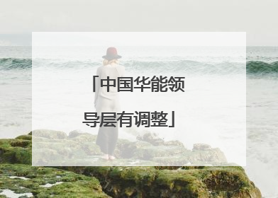 中国华能领导层有调整