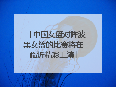 中国女篮对阵波黑女篮的比赛将在临沂精彩上演