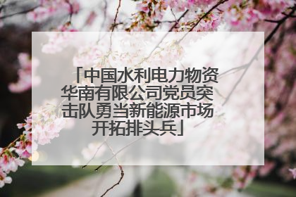 中国水利电力物资华南有限公司党员突击队勇当新能源市场开拓排头兵