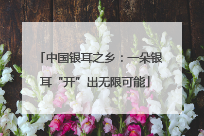 中国银耳之乡：一朵银耳“开”出无限可能