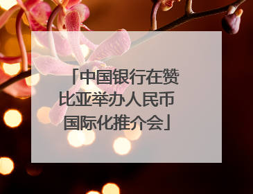 中国银行在赞比亚举办人民币国际化推介会