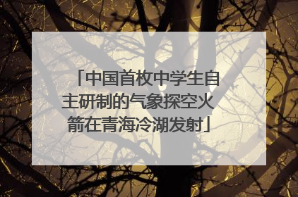 中国首枚中学生自主研制的气象探空火箭在青海冷湖发射