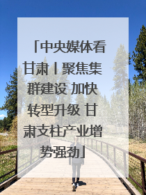 中央媒体看甘肃丨聚焦集群建设 加快转型升级 甘肃支柱产业增势强劲