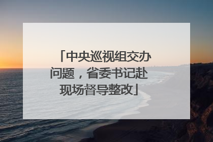 中央巡视组交办问题，省委书记赴现场督导整改
