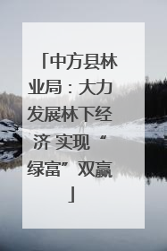 中方县林业局：大力发展林下经济 实现“绿富”双赢