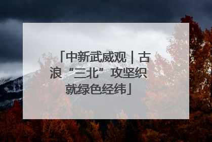 中新武威观｜古浪“三北”攻坚织就绿色经纬