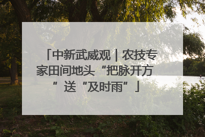 中新武威观｜农技专家田间地头“把脉开方”送“及时雨”