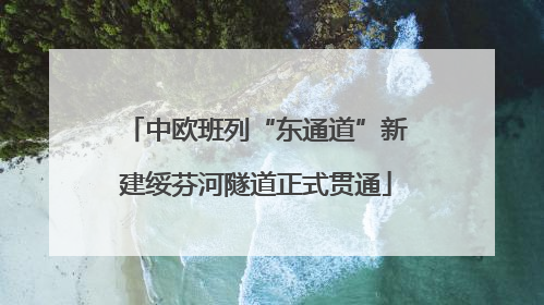 中欧班列“东通道”新建绥芬河隧道正式贯通