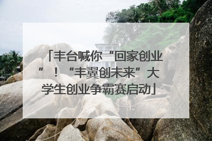 丰台喊你“回家创业”！“丰翼创未来”大学生创业争霸赛启动