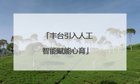 丰台引入人工智能赋能心育
