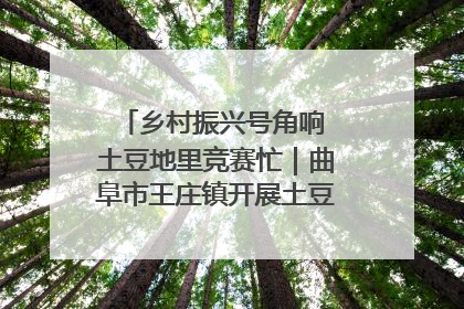 乡村振兴号角响 土豆地里竞赛忙｜曲阜市王庄镇开展土豆收获劳动竞赛