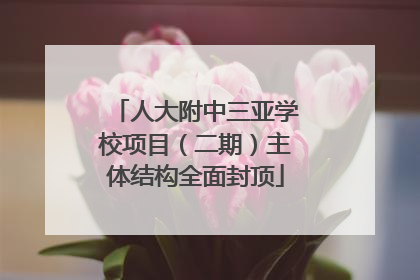 人大附中三亚学校项目（二期）主体结构全面封顶