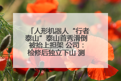 人形机器人“行者泰山”泰山首秀滑倒被抬上担架 公司：检修后独立下山 测试就是为暴露问题
