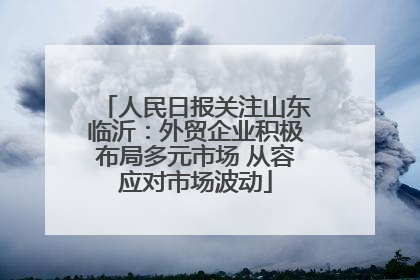 人民日报关注山东临沂：外贸企业积极布局多元市场 从容应对市场波动