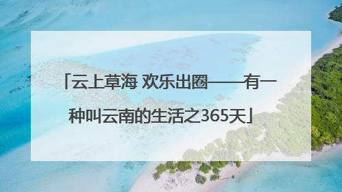 云上草海 欢乐出圈——有一种叫云南的生活之365天