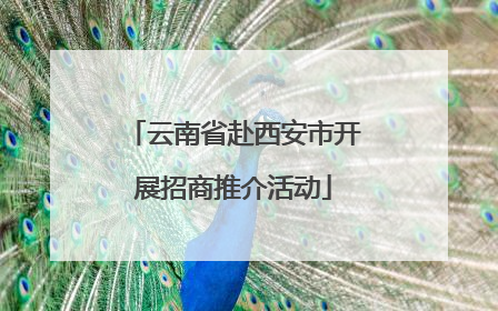 云南省赴西安市开展招商推介活动
