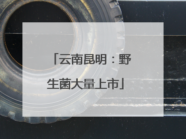 云南昆明：野生菌大量上市