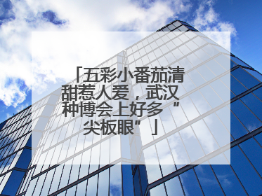五彩小番茄清甜惹人爱，武汉种博会上好多“尖板眼”