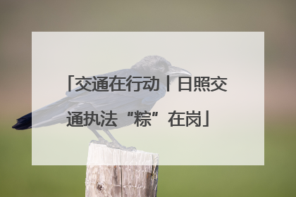 交通在行动丨日照交通执法“粽”在岗