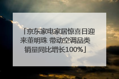 京东家电家居惊喜日迎来董明珠 带动空调品类销量同比增长100%