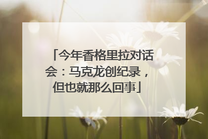 今年香格里拉对话会：马克龙创纪录，但也就那么回事
