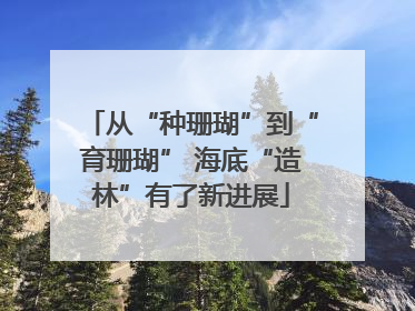 从“种珊瑚”到“育珊瑚” 海底“造林”有了新进展