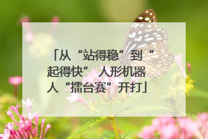 从“站得稳”到“起得快” 人形机器人“擂台赛”开打