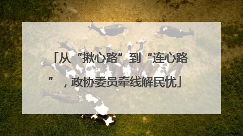 从“揪心路”到“连心路”，政协委员牵线解民忧