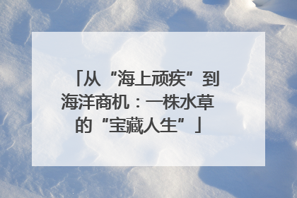 从“海上顽疾”到海洋商机：一株水草的“宝藏人生”