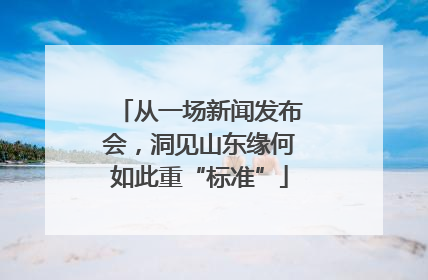 从一场新闻发布会，洞见山东缘何如此重“标准”